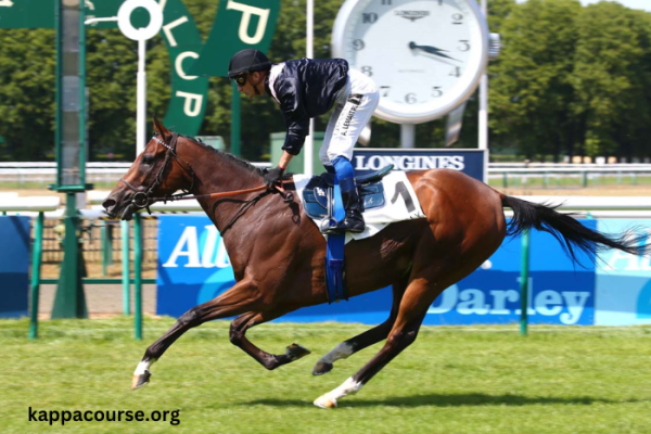 Chevaux Les Plus Joues