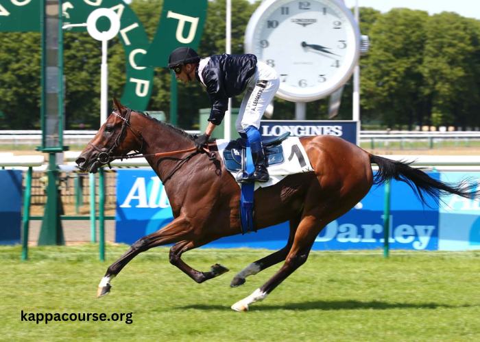 Chevaux Les Plus Joues