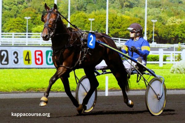 100 Turf Presse (1)