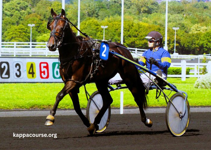 100 Turf Presse (1)
