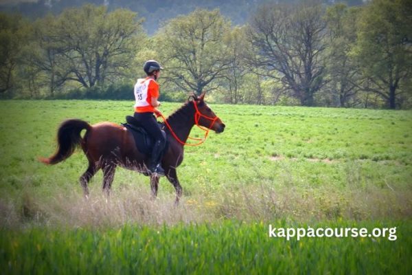 Elimination Des Chevaux (1)
