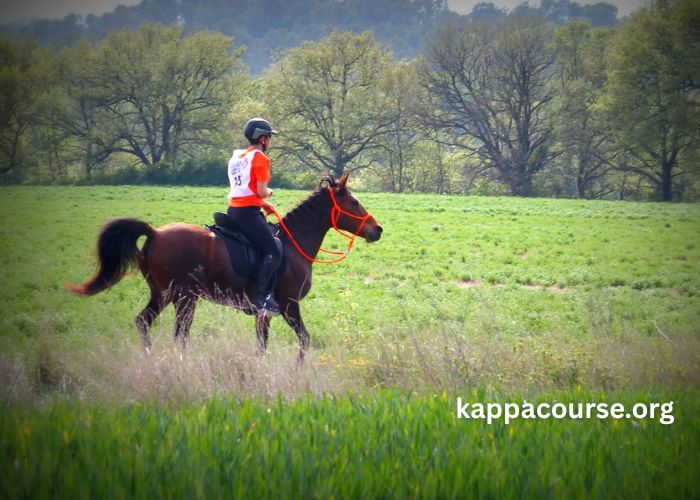 Elimination Des Chevaux (1)