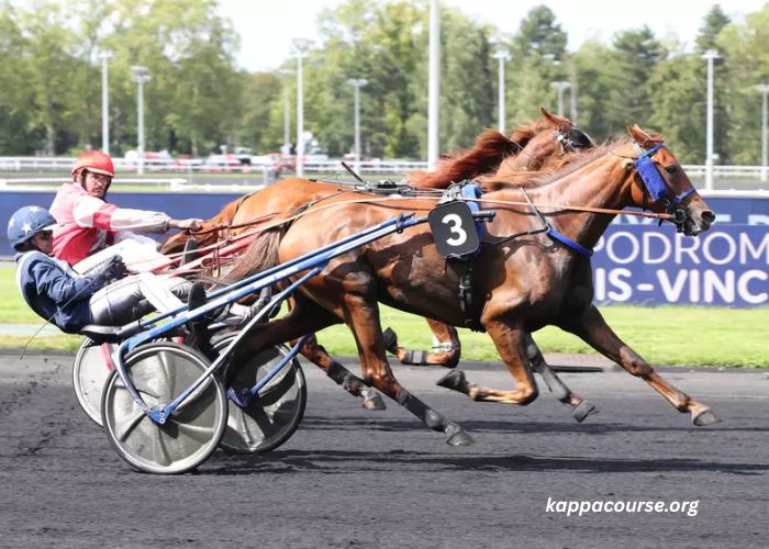 Joli Turf Gagnant (2)