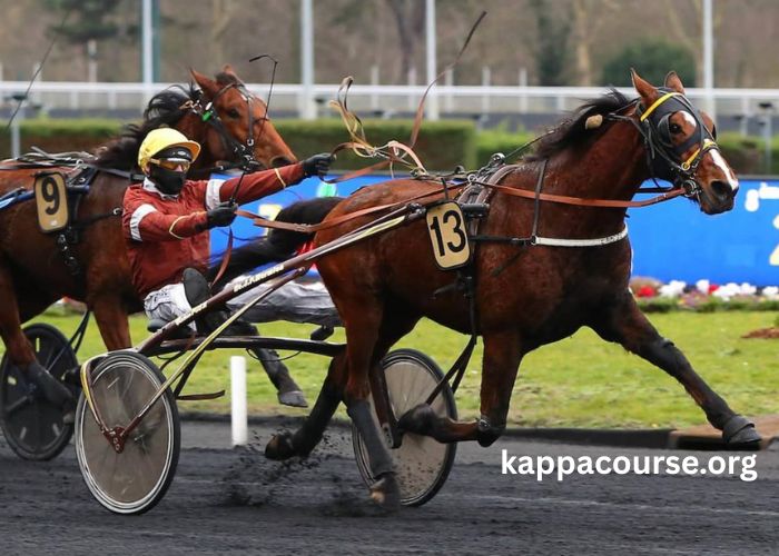 LA Bible Du Turf (1)