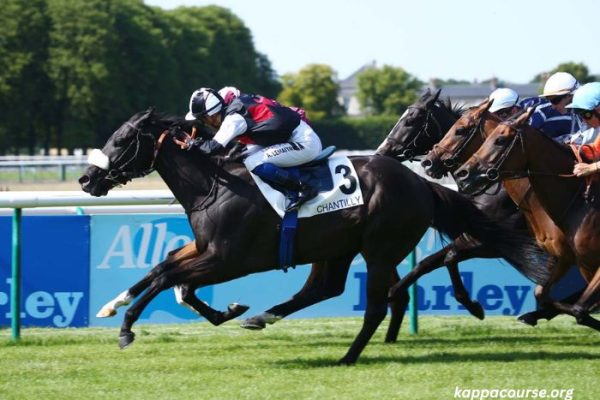 Le Sauveur Turf (1)