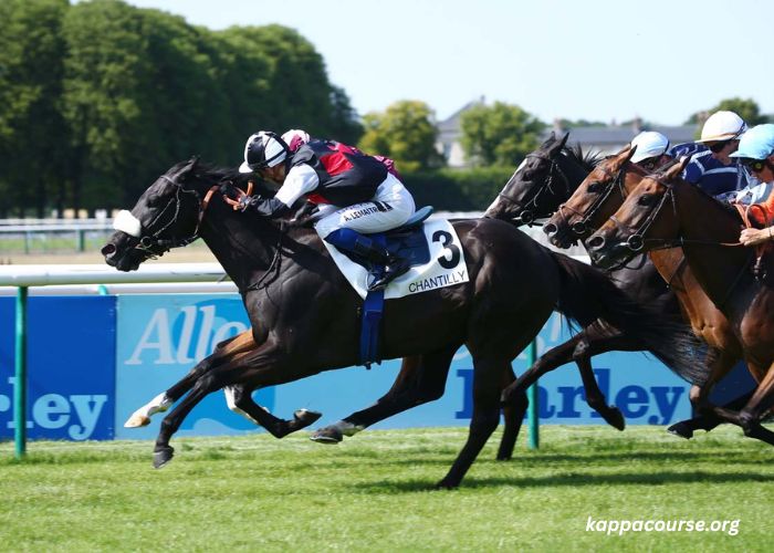 Le Sauveur Turf (1)