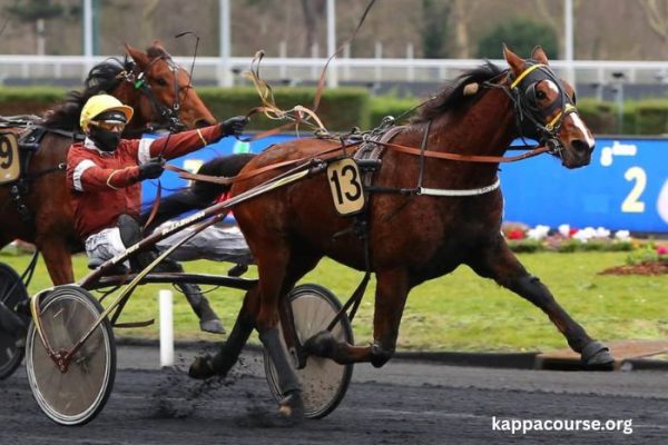 Les 3 Chevaux Incontournables (1)