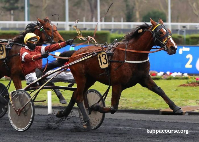 Les 3 Chevaux Incontournables (1)