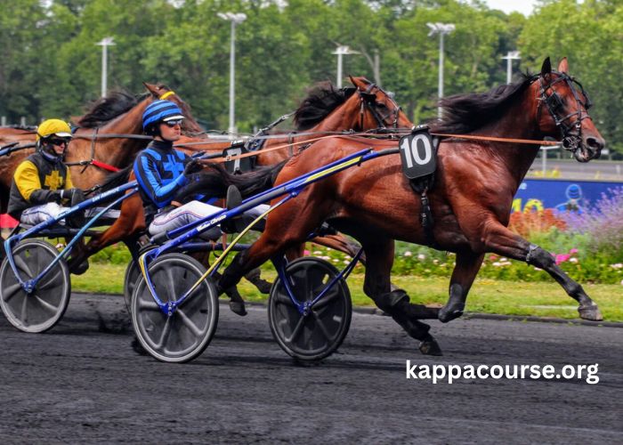 Trio Turf Vip (2)