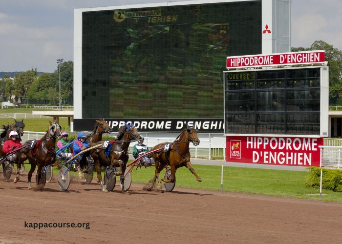 Turf Pronostic 7