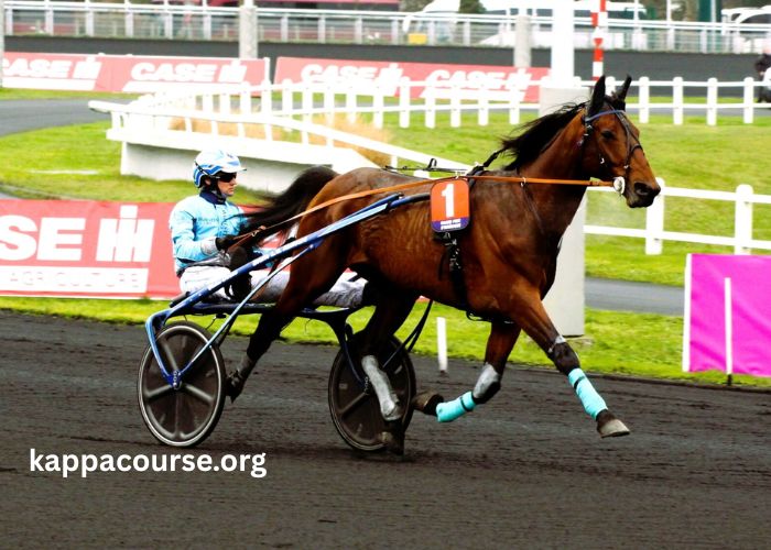Messi Du Turf (2)