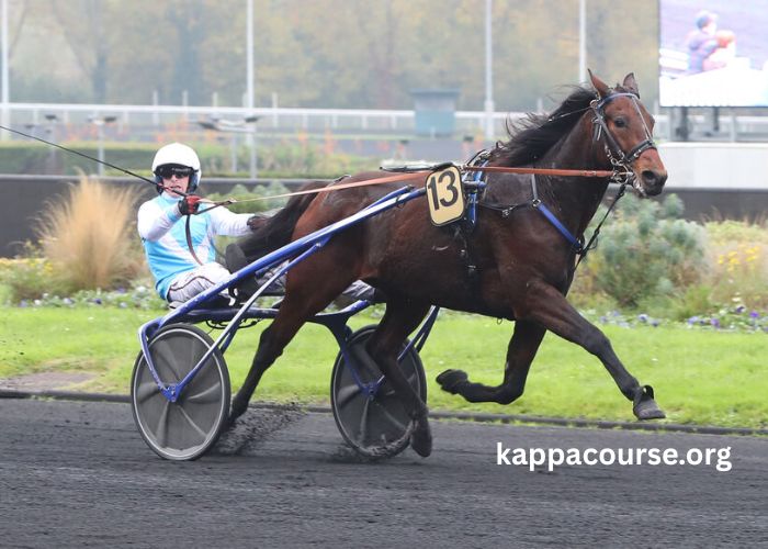Mon Trio Gagnant (2)
