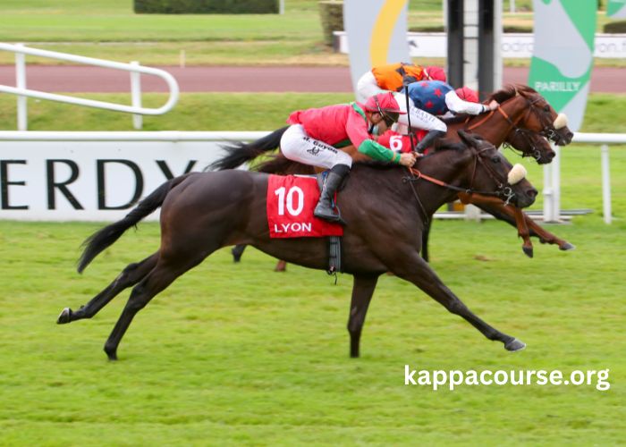 Resultat Des Courses Aujourd'hui (3)